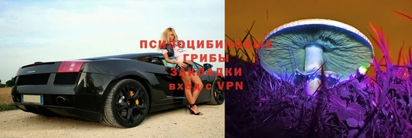 ALPHA PVP Каменск-Шахтинский