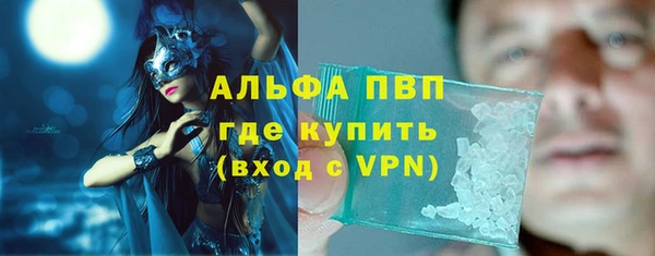 стафф Каменка