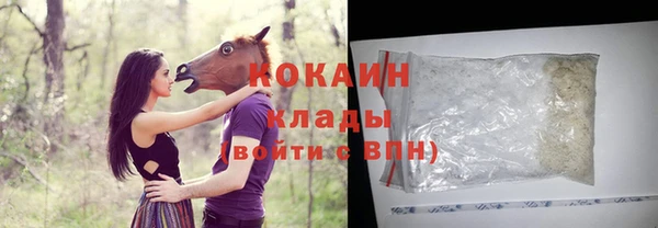 стафф Каменка