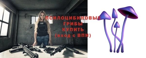 ALPHA PVP Каменск-Шахтинский