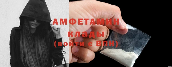 mdpv Каменногорск