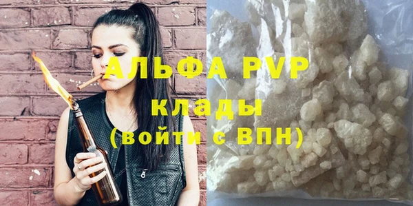 стафф Каменка