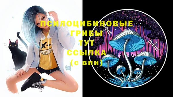 ALPHA PVP Каменск-Шахтинский
