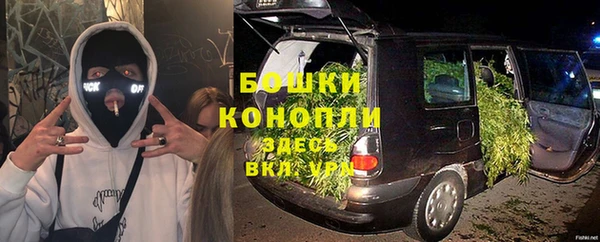 стафф Каменка