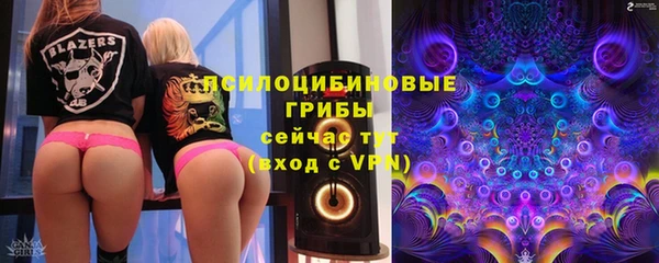 MESCALINE Няндома
