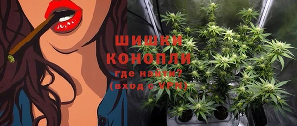 стафф Каменка