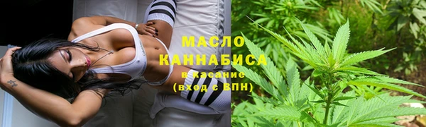стафф Каменка