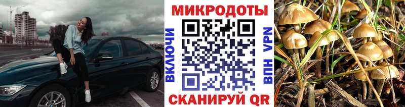Галлюциногенные грибы мухоморы  Фокино 